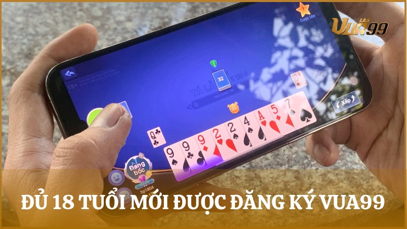 Người chơi 18 tuổi đăng ký VUA99 hợp lệ