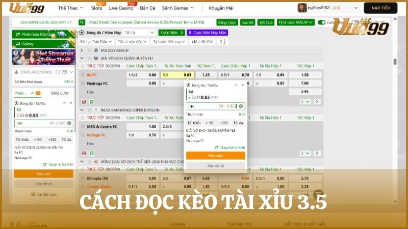 Hướng dẫn cách đọc kèo tài xỉu 3 trái rưỡi chuẩn xác nhất dành cho tân binh