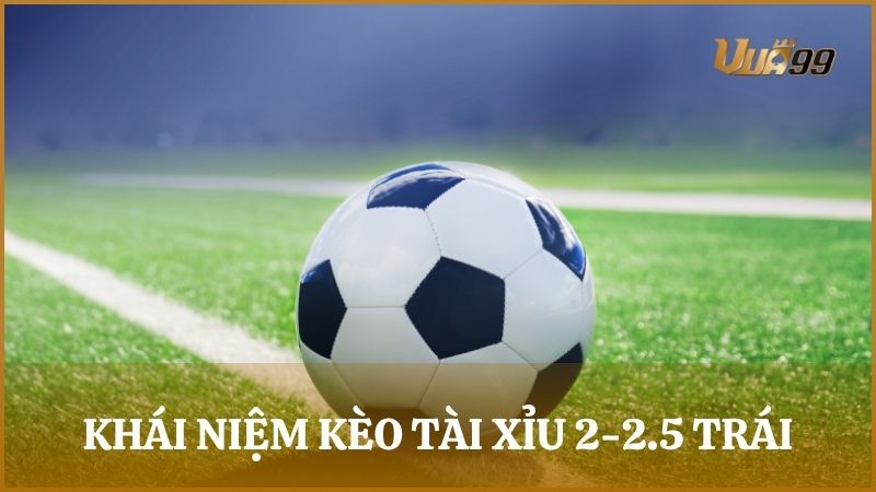 Kèo tài xỉu 2-2.5 trái, hay còn gọi là kèo tài xỉu 2.25 hoặc 2 1/4 trái