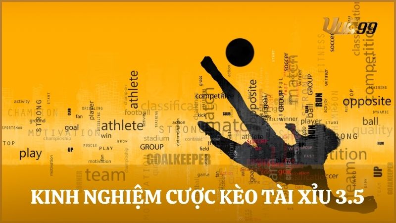 Học hỏi những kinh nghiệm đặt cược kèo tài xỉu 3.5 ăn tiền từ cao thủ