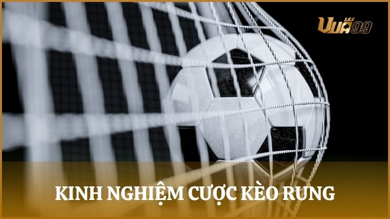 Kinh nghiệm đặt cược kèo Running Ball đỉnh cao như dân chuyên nghiệp