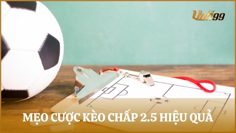Mẹo bắt kèo cược chấp 2.5 cực chuẩn từ người chơi giàu kinh nghiệm