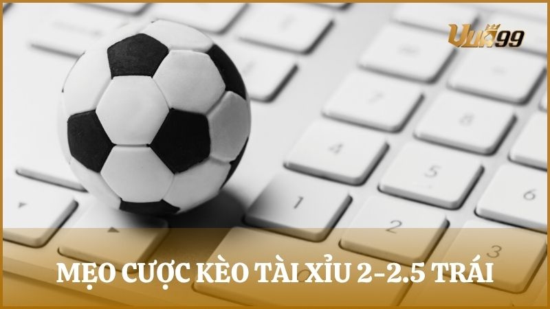 Bật mí mẹo cược kèo tài xỉu 2.25 trái giúp nâng cao tỷ lệ thắng từ cao thủ Vua99