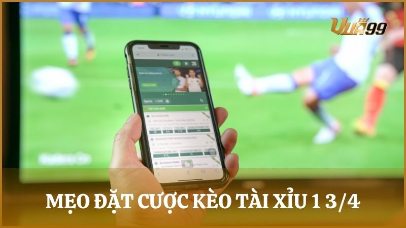 Chia sẻ mẹo đặt cược kèo tài xỉu 1.75 đạt hiệu quả cao từ chuyên gia