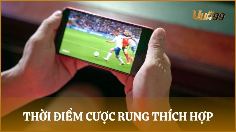 Những thời điểm thích hợp để đặt cược rung đạt hiệu quả cao nhất